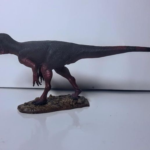 Marshosaurus bicentesimus