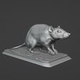 2022-12-30-19_30_14-Blender_-C__Users_lowri_OneDrive_Desktop_Rat_rat.blend.jpg Rat