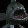 White-grouper-open-mouth-statue-29.png fish white grouper / Epinephelus aeneus open mouth statue detailed texture for 3d printing