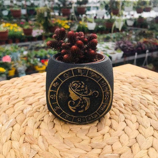 Zodiac Virgo Planter Pot 3D model