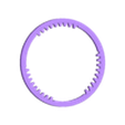 Ring_Circle.STL 3DP3BLROD20A Iris mechanism 3d printing shutter diaphragm diy hobby
