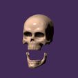 06.jpg human skull