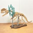 dilopho_classic-pic7.jpg [3Dino Puzzle] Classic Style Dilophosaurus