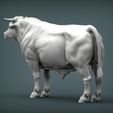 Bull3.jpg Bull 3D print model