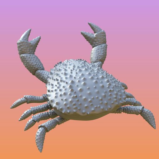 photo3cults.jpg Sponge crab holder.