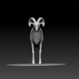 ZBrush-Docume45454nt.jpg Wild goat