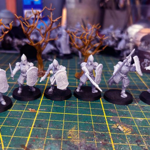 photo_2024-04-27_18-21-38-2.jpg Soldier of Guard Tower( swordman and spearman)