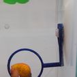 20241221_140558.jpg Hoop for fish tank/aquarium