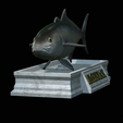 Greater-Amberjack-statue-7.png fish greater amberjack / Seriola dumerili statue detailed texture for 3d printing