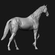 06.jpg Thoroughbred Horse model 3D print model