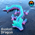 7.png Axolotl Dragon
