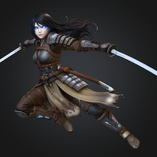 Anime nina warrior