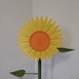 IMG_20220610_180953.jpg Sunflower | 3D Printable Sunflower ©