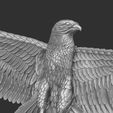 3.jpg Eagle open wings - wall relief