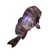 11.jpg DOWNLOAD Coral Fish 3D MODEL - ANIMATED for 3D printing - maya - 3DS MAX - UNITY - UNREAL - BLENDER - C4D - CARTOON - POKÉMON - Coral Fish Goby Epinephelinae Epinephelus bruneus