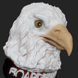 K3.jpg BALD EAGLE