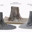 single_tree_stump_turntable_tree_fix_6.jpg 3D Scanned Tree Stump for Tabletop Scatter Terrain