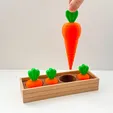 1000225490.webp Carrot Garden Layered Fidget Toy