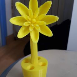 20191005_115103.jpg STL file flowers and pot・3D print model to download