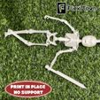 Spartan-Skeleton-Warrior-3.jpg Flexi Skeleton Warrior, Articulated fidget figure, 3mf included