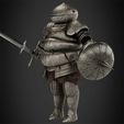 CatarinaArmorBundleClassic.jpg Siegmeyer of Catarina Armor with Sword and Shield for Cosplay