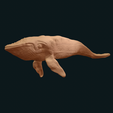 IMG_0167.png Humpback Whale swimming stl