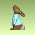 1.jpg Tales of Peter Rabbit Bunny