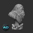 04.jpg Frozen Yeti Bust
