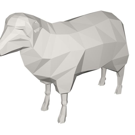 10000.jpg sheep animal