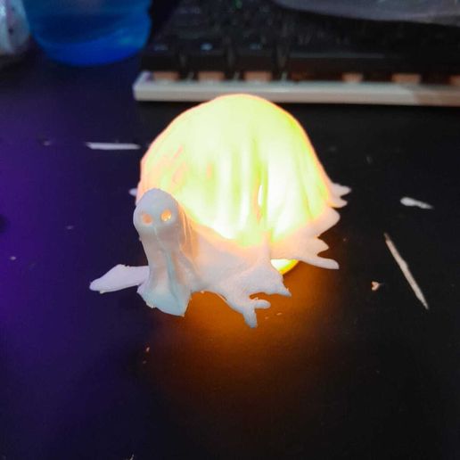 Ghost turtle - 3D model önizlemesi