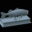 Bass-mount-statue-40.png fish Largemouth Bass / Micropterus salmoides open mouth statue detailed texture for 3d printing