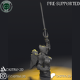 6.png Dame Aylin - BG3 Bust Collection 3D print model