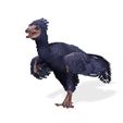 0.jpg BIRD RIGGED RAPTOR FILE FBX 3MF STL OBJ 3D PRINTING - DINOSAUR HORSE WINGS PREDATOR EAGLE