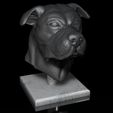 Shop8.jpg American Bulldog dog head portrait