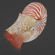 Screenshot-2024-07-09-171430.png Nautilus
