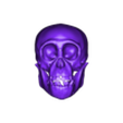 6418.stl Schädel