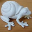 SnailFrog.JPG Frog + Snail