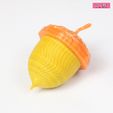 a2.jpg ACORN FRUIT | STORAGE BOX FOR SCRAT | Commercial Use