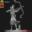 resize-yi-kopie.jpg Highborn elves Archers