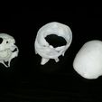 20150508_061505.jpg Human skull, anatomically correct and printer friendly **updated with jaw**