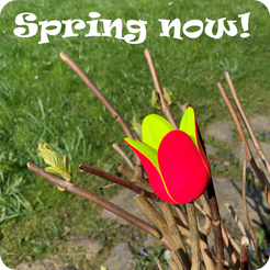 make.png Spring Now!