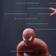 DSC_0019.jpg Spiderman No Way Home Fan Art Statue 3d Printable
