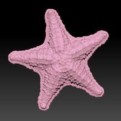 ESTRELLAMAR.jpg Файл STL Starfish - MOLD BATH BOMB, SOLID SHAMPOO・Шаблон для загрузки и 3D-печати