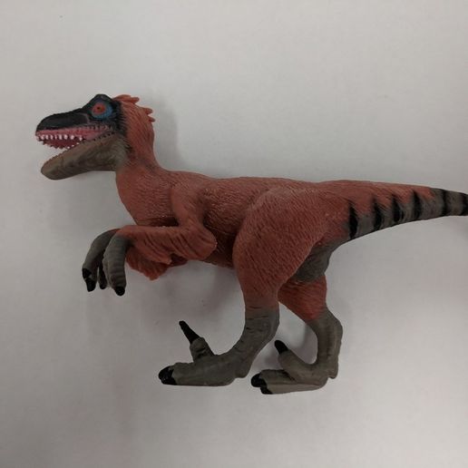 Velociraptor Dinosaur 3D model