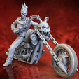 Ghost-Rider-SANIX.png Motoqueiro Fantasma