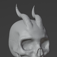 Captura-de-pantalla-2023-03-19-121611.png CRANIO-CRANIUM WITH HORNS