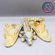 386877182_353558677181736_4607990273954334519_n.jpg Flexi Butterfly Dragon, Articulated Dragon