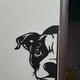 20240109_221344.jpg Pit bull wall, Pit bull line art, Pit bull at the door, 2d art pit bull, pit bull decoration