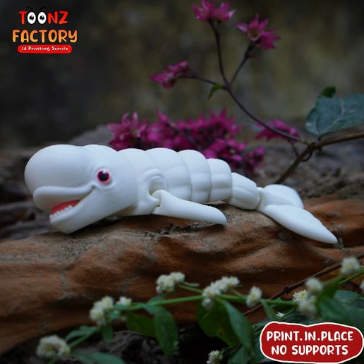 g.jpg PRINT IN PLACE CUTE FLEXI BELUGA WHALE