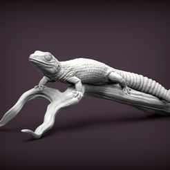 gecko2.jpg Leopard gecko 3D print model